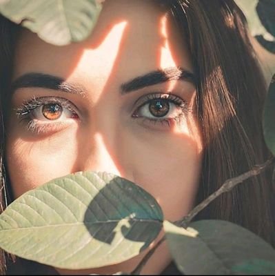 ffff1282083241's profile picture. 