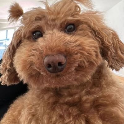 AngelaLucy64253's profile picture. i am here for serious relationship with the right man .. with kind heart..