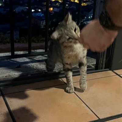 jackgoodd's profile picture. 