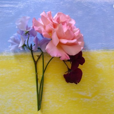 pictureladyjan's profile picture. Resistance stitching. Photos. Occasional poems.
#StandWithUkraine #BringKidsBackUA #ChildrenAreNonNegotiable
https://t.co/ShE76kuGBV