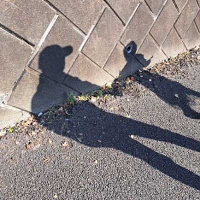 niko2saku's profile picture. ♪美容*♪音楽*♪２児👦👧ママ*♪自慢したいと思われ続けるカッコいいママでいたい♡ﾏｲﾍﾟｰｽに美容を始めてはまりだした30代_Qoo10 VIP_むーんず🌙5期_母の姿を見て娘もコスメ好きに🥰とんでもなく人見知りです…無言ﾌｫﾛｰ失礼します。ﾌｫﾛﾊﾞ💯