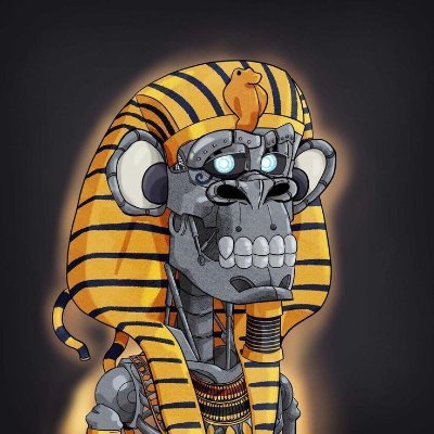 yorelicaz's profile picture. Building the decentralized future 🏗️ | Solidity Dev 💻 | Focused on L2s & ZK-tech ⚡