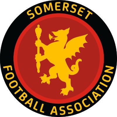 Somerset FA Profile