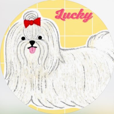 kikuchin_megane's profile picture. 🌈Tシャツ&グッズ販売中❣️➡️ https://t.co/ZAg9dUcw1Q 🍭インスタ ➡️ https://t.co/MezHnyvVC9 🍦#魚民