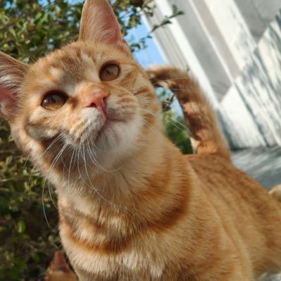 0vlv7's profile picture. 