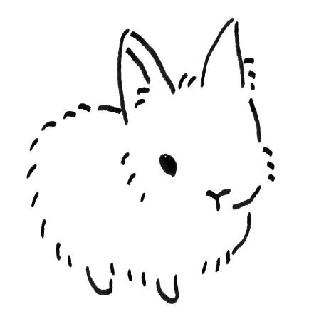 b_92_9's profile picture. 여자친구구인공고 : 슈게이징,퓨처베이스,뉴재즈힙합,브릿팝,패션,도자기,도예과,재봉,도예,빈티지,유비트,프로젝트문,검정치마,브로큰티스,키라라,리틀트윈스타,토끼,페퍼로니와 해물볶음우동과 술과 소맥을 좋아하는 여자 절찬 모집중/그림 @hwan_b_ 𐃥𐦊☂