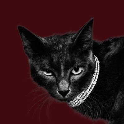 moiembrasses's profile picture. note : dilarang membagikan atau merepost cerita saya di menfess base twitter.