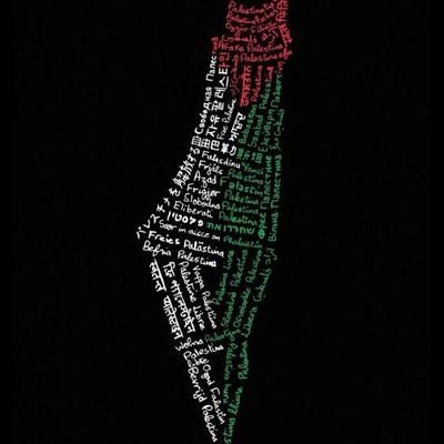 harpmusic012's profile picture. Together for humanity and justice 🇵🇸