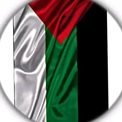 DiscMusic322041's profile picture. In a world full of pop, be rock.🥰😎