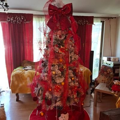 Osky_cat's profile picture. Solo en la oscuridad puedes ver las ⭐ .Hoy miro al Norte con esperanza.Let it flow! Necesitas que alguien te diga que es lo que siente tu ♥?