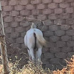 mndiiok's profile picture. 