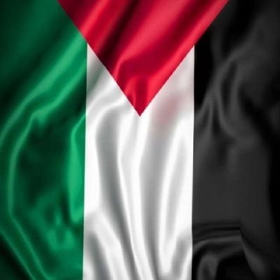 Bandex725980's profile picture. Raising awareness daily for Gaza 🇵🇸