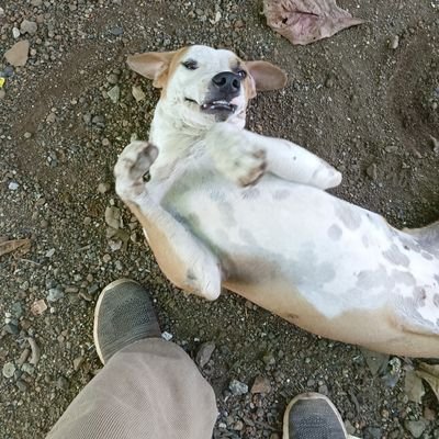 shruti_nair28's profile picture. 