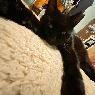 karin020112's profile picture. #東方神起 #ビギスト #ユノペン #ボディセラピスト #猫好き #バカボンのパパ #SNOOPY #寂しがり屋のひとり好き #永遠の18歳 #中二病 #エロ垢は即ブロック #参政党サポーター #誤字脱字多め