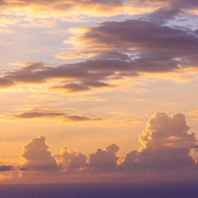 baoo_nguyenBao's profile picture. 