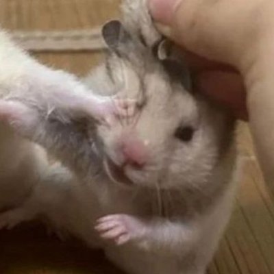 kxdnuu's profile picture. 