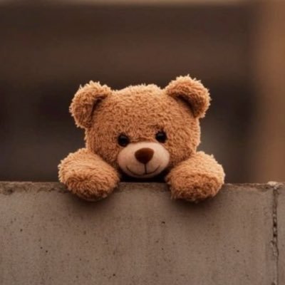 ab2334909916203's profile picture. 