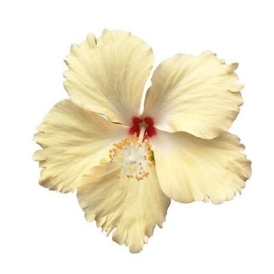 markmoIo's profile picture. 