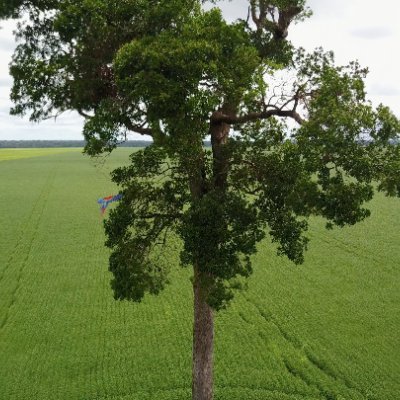 JuliaDolce_'s profile picture. Repórter