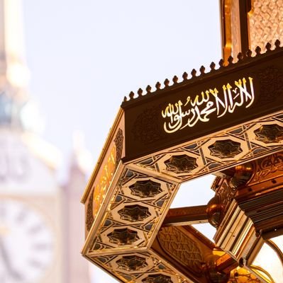 OmarAhm2518616's profile picture. 