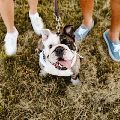 pugh_j31's profile picture. 