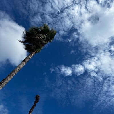 transistor610's profile picture. 