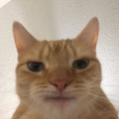 zmdjdjdjdjdj's profile picture. 구독계 정지됏어요..