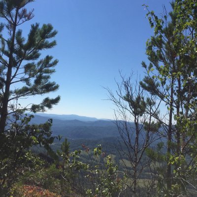 Nksingh47335303's profile picture. 