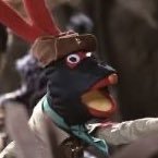 wild__avocado_'s profile picture. 🌸🍄🇨🇱|| fancops DNI , minors DNI ||🐺🦌|| I’m not multishipper but I’m multifandom ||🦚🦉