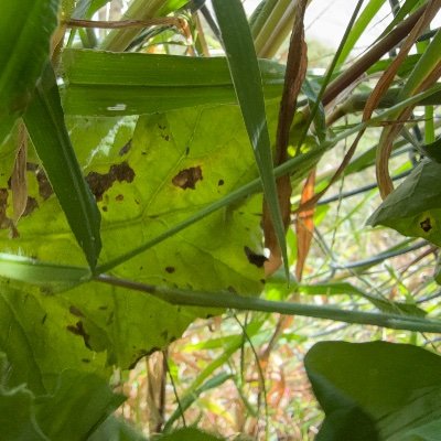 ethchad19's profile picture. 