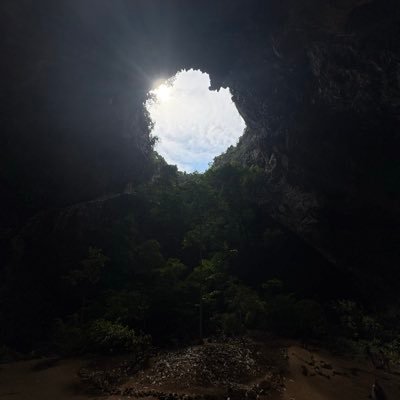 LunestaWheeler's profile picture. 