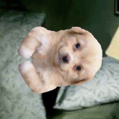 n0ng0c's profile picture. 