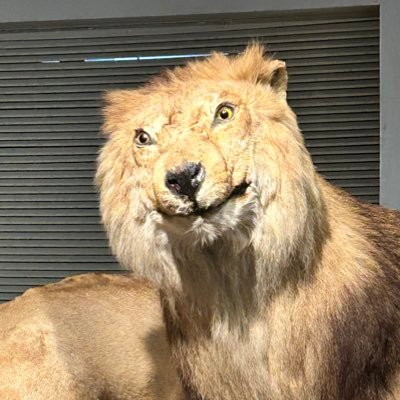 JiangWenbo423's profile picture. 