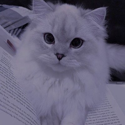 LeeDan_Editing's profile picture. 