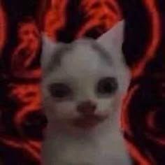 ah_lesk's profile picture. Aqui é democracia, quem manda aqui sou eu

@Cruzeiro @ScuderiaFerrari 🇮🇹💙