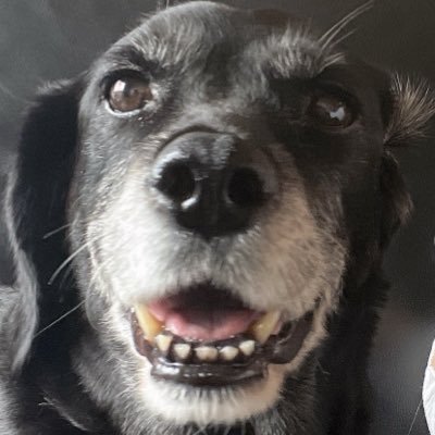 assetbuild_3000's profile picture. 元金200万で何しよう？