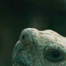 Makslllla's profile picture. 