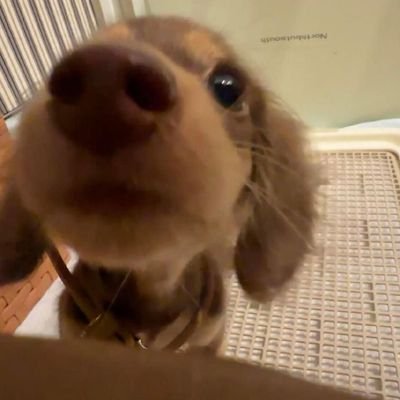 jjjooonnn0's profile picture. 