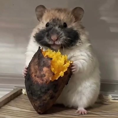 uduaosk's profile picture. Taking good care of yourself is the greatest awakening for adults.