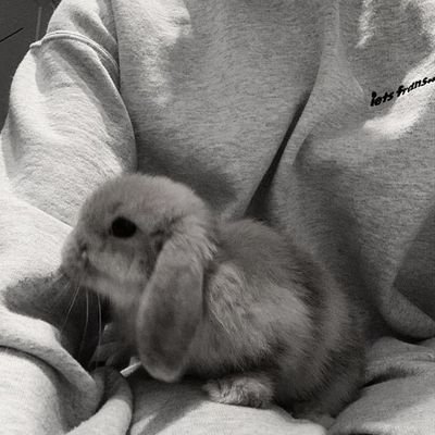 refranmen02's profile picture. 🤍✨