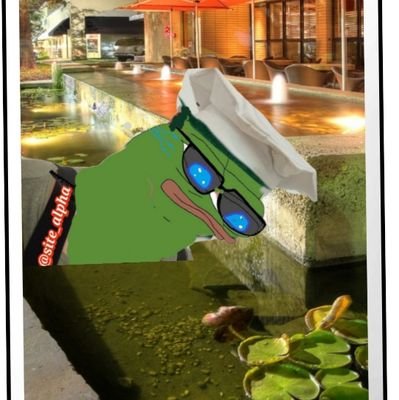 thesite_alpha's profile picture. Just alt ego living on the X alt  media/journalist for the TM @site_alpha.  https://t.co/kYfMJhVSYH | https://t.co/dXHUTXkjvv