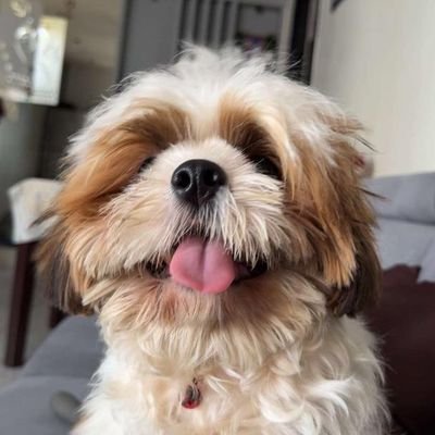 EvaRose98796's profile picture. $758 Million Powerball single ticket jackpot lottery winner in Massachusetts I'm the lottery winner of $758 Million..... Giving out $5000,000 to people in need