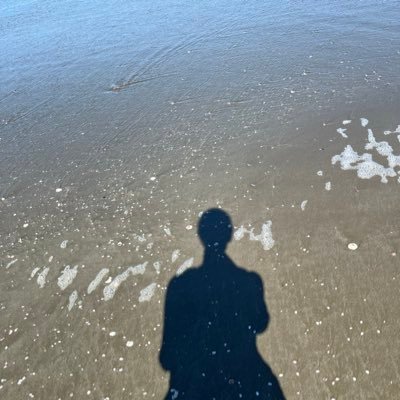 ShuN057721's profile picture. 物性理論→R&D →MLエンジニア　Posts are my own.