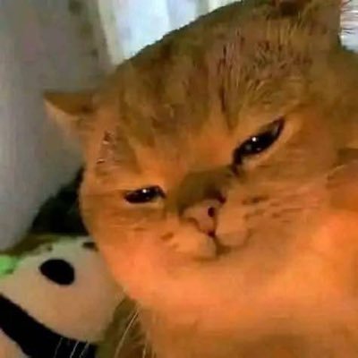 Mr_Llama_'s profile picture. Do not Redeeemm…  yes I’m Indian, don’t need to check that.