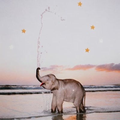 xiangrikuiba's profile picture. 快活得要流泪，下贱又淫荡。 快活得要流泪，下贱又淫荡。