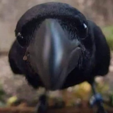 RochTalks's profile picture. IT Scientist. Believer with desire to explore all of our realities and to reach for the stars. CEO @ Oberon, autonomous work orchestration, zegarmistrz światła