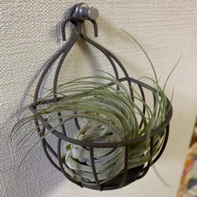 1Lqklmhu2u87073's profile picture. 