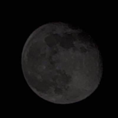 Syoys2050's profile picture. 