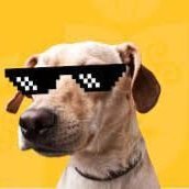 loryx777jota's profile picture. Loryx Plume Goon. Monad Arc
A world of possibilities ✨️ and peoples