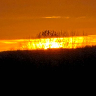 PASCALAurelie89's profile picture. Adjoint des cadres Rh finances FPH